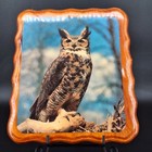 Vintage Handcrafted Great Horned Owl Decoupage Wood Plaque Wall Hanging Art