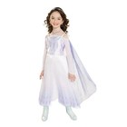 Disney Frozen Elsa Snow Queen Dress Size 5 6