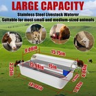 2 Gallons 304 Stainless Steel Automatic Water Dispenser For Pets   Livestock