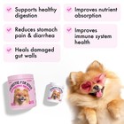 Probiotics For Dogs Natural Digestive Enzymes Prebiotics For Allergy Itch Rel   