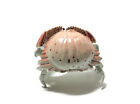 Kaiyodo Museum Q Japan Exclusive Box Crab Mini Figure