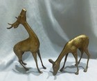 Set Of 2 Large Vintage Mcm  Solid Brass Buck And Doe Deer Figurines 13    8 