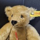 Nwt Vintage Margaret Steiff Woolbury Strong Museum 9  Blonde Bear 0155 26