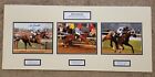 Secretariat Triple Crown Commemorative Matted And Signed Ron Turcotte