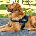 2 Pcs Service Dog Patches  I m Friendly Please Pet Me Patches With Hook 