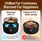 Wet Food Automatic Cat Feeder With Camera  Semiconductor Cooling   Heating Wi   