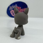 Boston Terrier Dog  958 - Authentic Littlest Pet Shop - Hasbro Lps