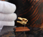 Dollhouse Miniature Velociraptor Skull 1 12 Ooak By Artist Pigeonoak