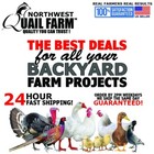 Top Fill Water Bottles Replacement Water Nipples For Rabbits Chickens Quails