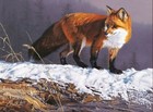 Red Rhapsody Fox Wildlife Quilt Top Wall Hanging Panel Fabric