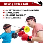Boxing Fight 4 Balls With 2 Head Band Fr Reflex Speed Training Punching Exercise
