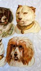 5 Antique Victorian Die Cut Scrap Collection Of Various Dog Portraits 1800s