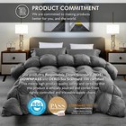 Luxurious All-season Gray Pinch Pleat Goose Down Comforter Duvet Insert  Premium
