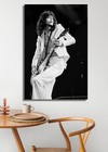 Jimmy Page Poster 24x36 Inch Live Concert Photo Rare Wall Art Print - Jp01