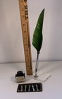 Lankongque Vtg-style Feather Quill Calligraphy Pen Set W pen Holder  Ink  6 Nibs