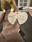 Ty 4082 Beanie Baby Plush Animal Jolly Walrus Style  1996 Edition