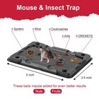 Mouse   Insect Traps 12 Pack  Heavier Sticky Traps With Non-toxic Glue For Mice