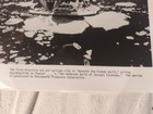 Vintage Hollywood Still Photo 1960s Tv  maverick    our Gang   Jacques Cousteau 