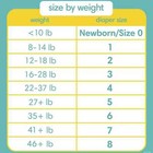 Pampers Swaddlers Size 6  100 Count  Ultra Absorbent   Soft Disposable Diapers