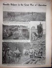 Old Antique Print Ww1 1916 Donkey Farriers Australian Medical Corps Ship