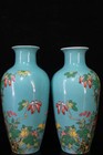 7 6  A Pair Chinese Pastel Porcelain Hand-painted Exquisite Flower bird Vase 