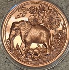 6 Mother   Cub 1 Troy Oz Bu Copper Rounds   999 Fine Bullion -3d High-relief Cb