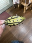 Vintage Arnold Tackle Hopalong Wood  Lure  Paw  Paw  Mi