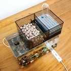 Aquarium Kit 1 Gallon Betta Fish Tank Self Cleaning Fish Tank With Filter  In   