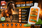 New Absorbine Veterinary Liniment Gel 12 Oz Horse Sore Muscle Joint Pain Relief