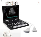 New  Full Digital Laptop Vet Lcd Screen Medical Ultrasound  Dual Channel Probe