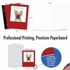 20 Christmas Cards  10 Designs  2 Ea  - Holiday Dogs   Doodles  Am6582xsb-b2x10
