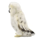 Bh6155 Hansa Snowy Owl 18