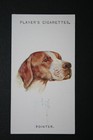 Pointer   Vintage 1929 Dogs Head Portrait Card  Ce18m