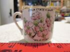 Iowa The Tall Corn State  Wild Rose Mini Travel Souvenir Cup  Japan