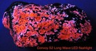 Museum Sparkling Sphalerite Long Wave Fluorescent Mineral Sterling Hill Nj
