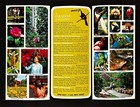 1960s St Petersburg Florida Sunken Gardens Nature Park Vintage Travel Brochure