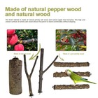 Cokliomc Bird Toys Natural Parrot Toys For Small Macaws Budgies Lovebirds Fin   