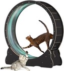 Catexercisewheel  45 Inch Large Cat Running Wheel With Carpeted Runway  Cat T   
