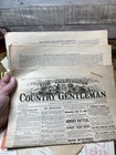 Antique To Vtg Ephemera Lot  Clippings Paper Pieces Junk Journal Collage Craft