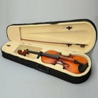 16  Inch Wood Acoustic Viola With Case Rosin Bow Brown For Beginner