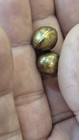 Pre-columbian Gold Round Spacer Beads  Tairona Culture
