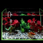 U Shape Tube Aquarium Fish Tank Accessories Tubes Shaped Transparent
