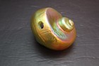 Carl Radke   Phoenix Studio Art Glass Sea Shell Lamp Shade Iridescent Gold 5 