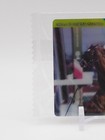 Daiwa Major Thoroughbred Horse Collection Wafer Trading Card Bandai Japan I277