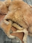    Lb Genuine Sheepskin Shearling Scrap Pieces Craft Fur Wool Leather Diy