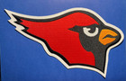 Cardinal Patch Cardinal Head Patch 11  Wide Iron Or Sew On Cardinal Bird Patch