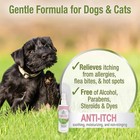 Four Paws Pet Aid 8 Oz  Medicated Anti-itch Spray  Remedy For Dogs And Cats
