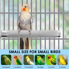 Bird Perch - Stainless Steel - Rough Surface Stand For Small To Medium Parrots