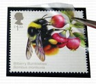 Hawid Stamp Mounts 21x24mm - Black  50 