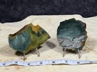 A  Larsonite  gary Green freedom  Jasper Slab Set  Lot  270